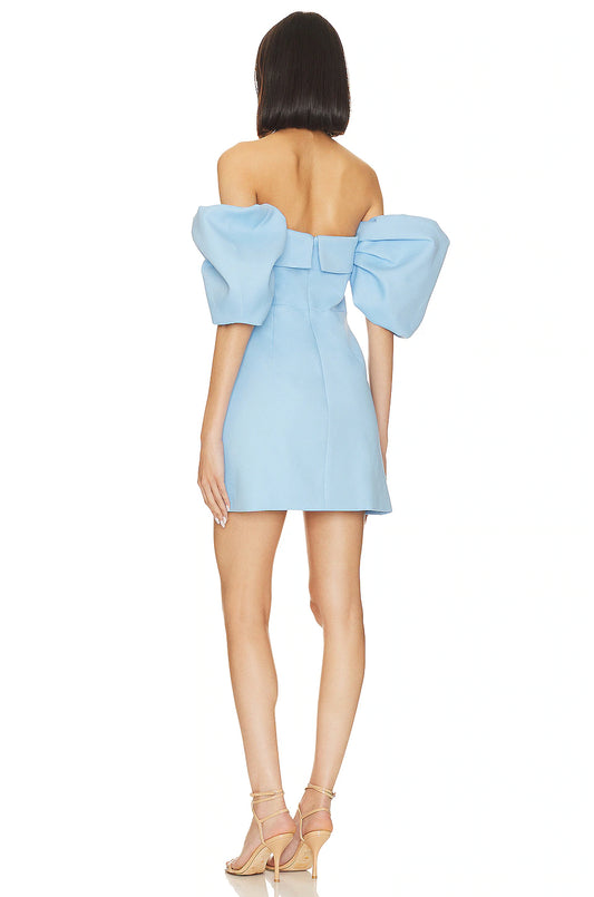 Palladium Dress
