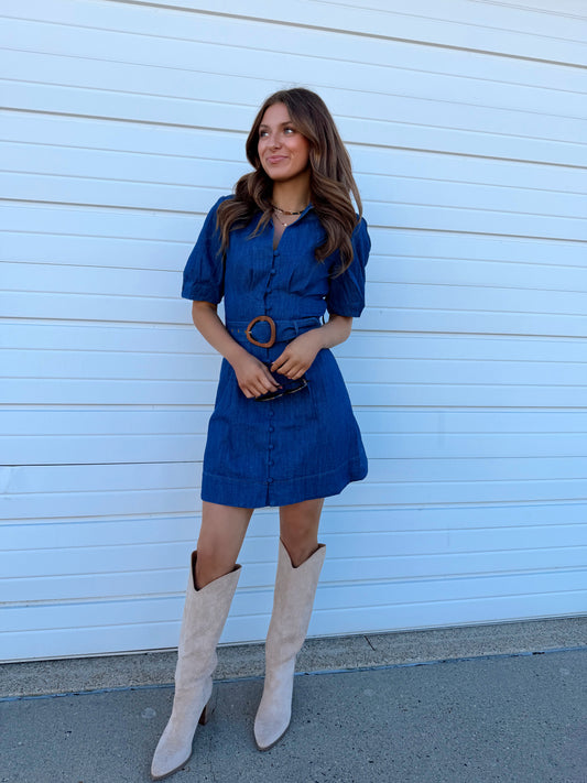 Delaney Denim Dress