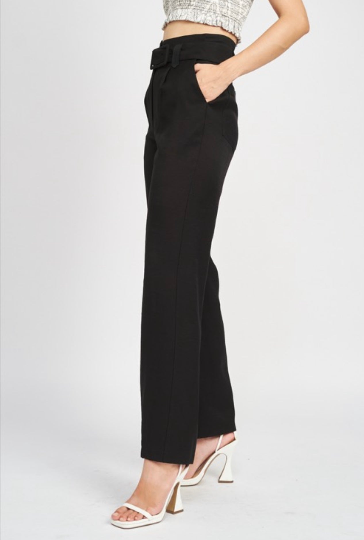 Established Pleated Pants