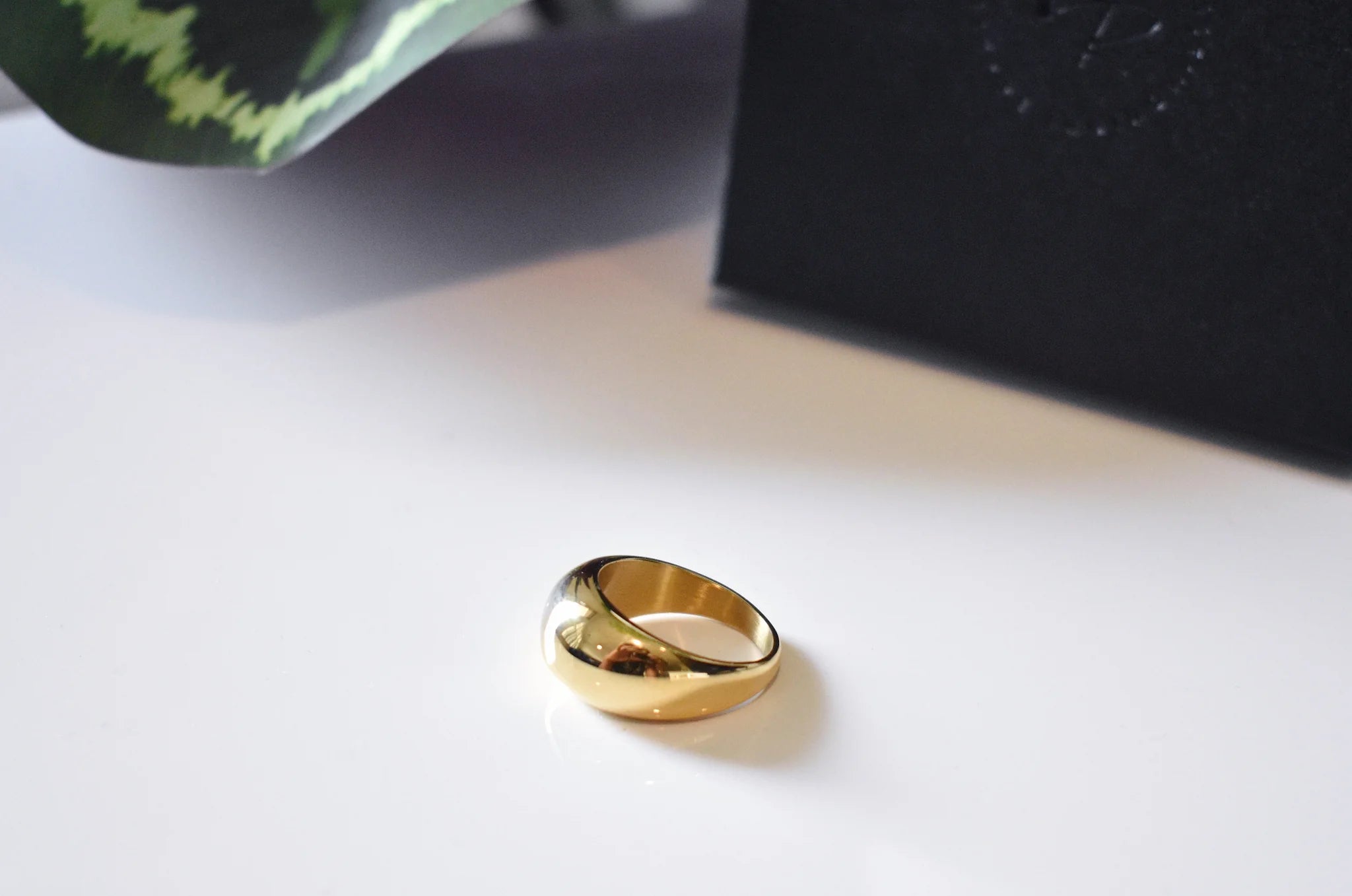 Destiny Dome Ring – Shop LOA Clothing