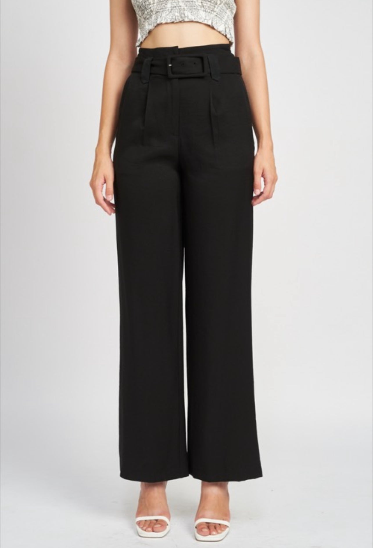 Established Pleated Pants