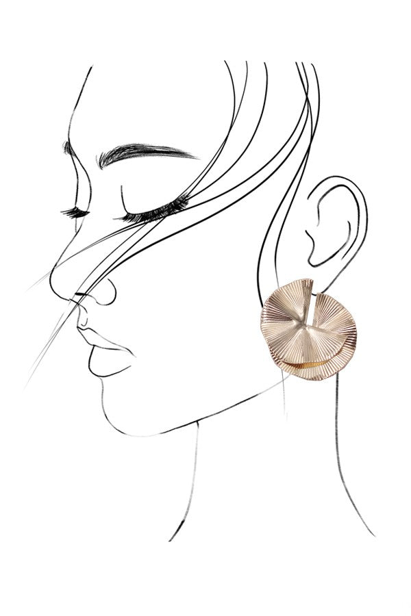 Paparazzi Earrings